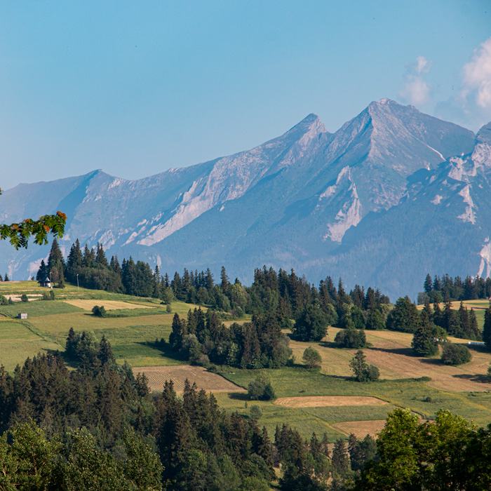 Widok z Gronia na Tatry