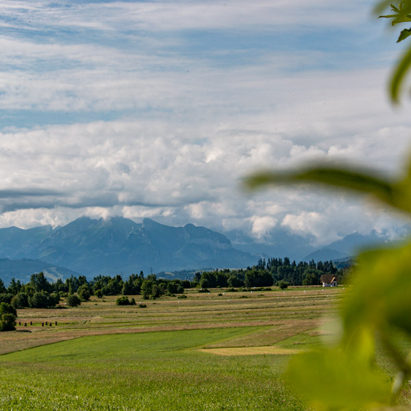 Widok z Leśnicy na Tatry